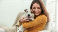 Ветеринари кажу да 3 знака указују на срећног пса: Махање репом није један од њих 