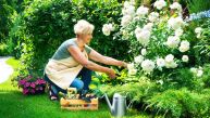 TAJNA VRHUNSKIH CVEĆARA: Napravite rastvor koji vam može pomoći da oporavite biljke za jedan dan