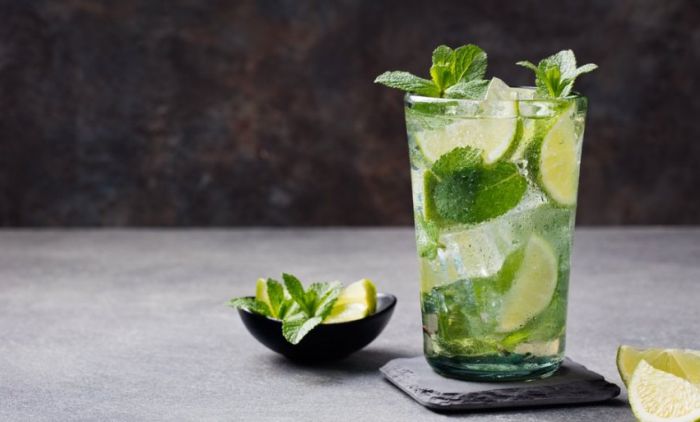 1716982369_489170_shutterstock-mohito_f.jpg